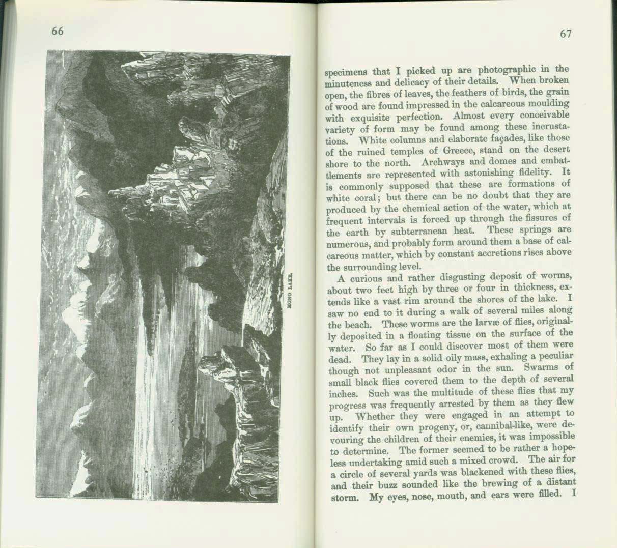 A TRIP TO BODIE BLUFF and the Dead Sea of the West (Mono Lake)--in 1863. vist0076n